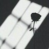 Abdualrhman's profile picture