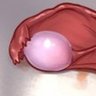 Seiravo's profile picture