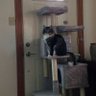 zander's profile picture
