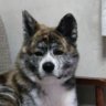 ひろりん's profile picture
