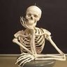 Profilbild von Bob bones