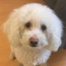 Profilbild von Chen Share