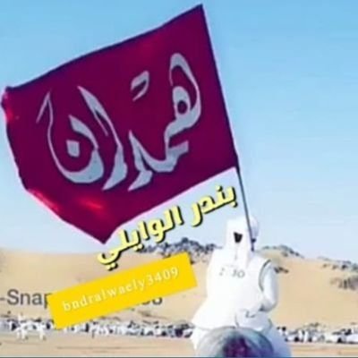 bndralwaely3409's profile picture