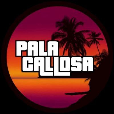 palacallosa's profile picture