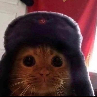 ꕤ⁷'s profile picture