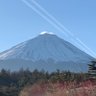 世田谷のオジ profil fotoğrafı