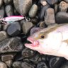 Y.110 Fishing's profile picture