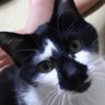 こったん profil fotoğrafı