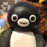 Acquario 的头像