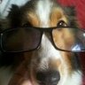Louise - omaggio a mia figlia pelosa. 🐶🥰 的头像