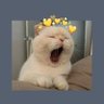Profilbild von justmavii_
