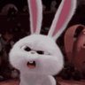 Thomas's profile picture