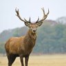 Beautiful Sunrise's profile picture