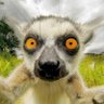 Михаил Куприянов's profile picture