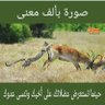 المهندس خالد profil fotoğrafı