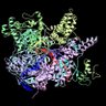PolymeraseHase 的头像
