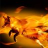 Profilbild von MuralBread73