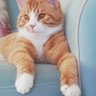 AYKIRI ASLAN's profile picture