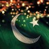 Pakistan Zindabad ❤️'s profile picture