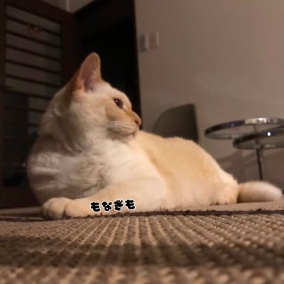 Nag1_M0's profile picture