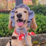 Yvette profil fotoğrafı