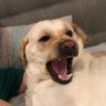 Profilbild von James W