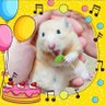 ようちゃん Animal Pet TV🙂's profile picture