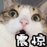 Profilbild von Mike