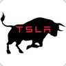 Profilbild von Tesla Toro