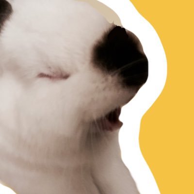 ppkubipp's profile picture