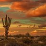 AZDesertPatriot🇺🇸 的头像