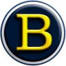 Bid Coin's profile picture
