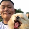 Hamtamon 的头像