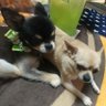 カネやん(えすいー)'s profile picture