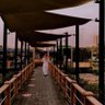 ^ طاري الفرقا ^ 的头像