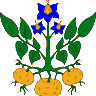 Фото профиля Papa Potato