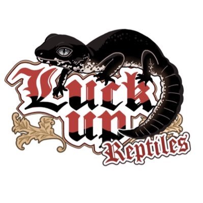 LUCKUP_yosshi's profile picture