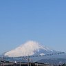 ヤッピー 的头像