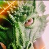 Epicyoshilizardy's profile picture