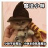 Steffen 的头像