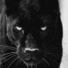 LORD's profile picture