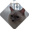 Profilbild von Martin Pitt