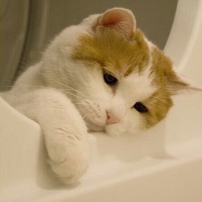 a's profile picture