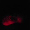 Hi's profile picture
