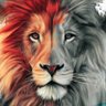 ابو خالد profil fotoğrafı