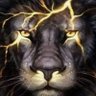 عرين's profile picture