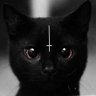 Ptorr's profile picture