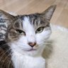 こっちゃん profil fotoğrafı
