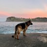 星光✨ profil fotoğrafı