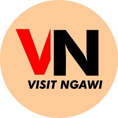 VISIT NGAWI's profile picture